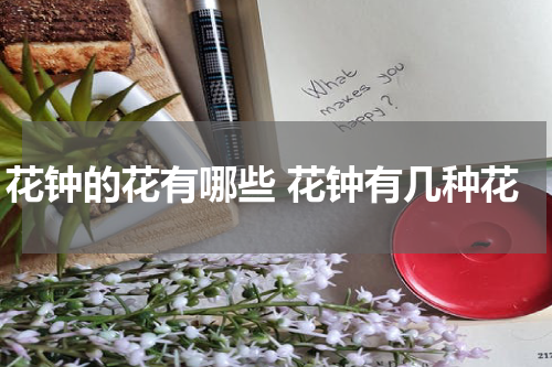花钟的花有哪些 花钟有几种花