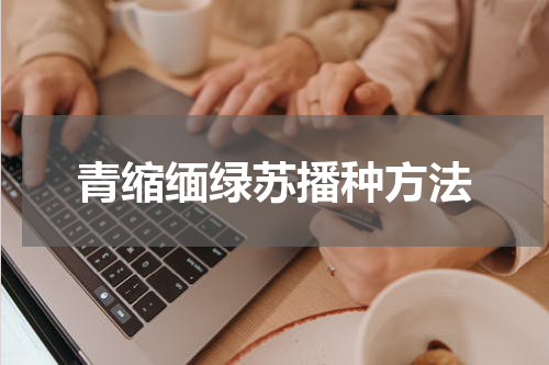 青缩缅绿苏播种方法
