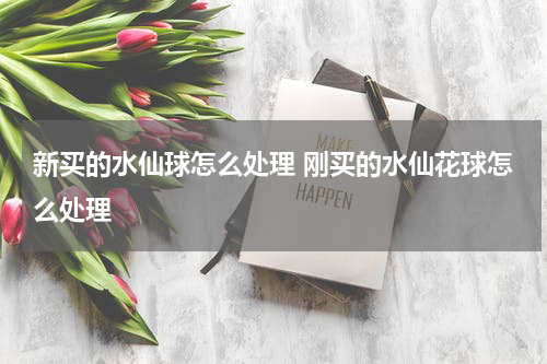新买的水仙球怎么处理 刚买的水仙花球怎么处理