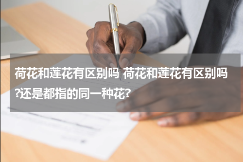 荷花和莲花有区别吗 荷花和莲花有区别吗?还是都指的同一种花?