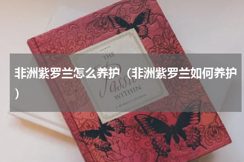 非洲紫罗兰怎么养护(非洲紫罗兰如何养护)