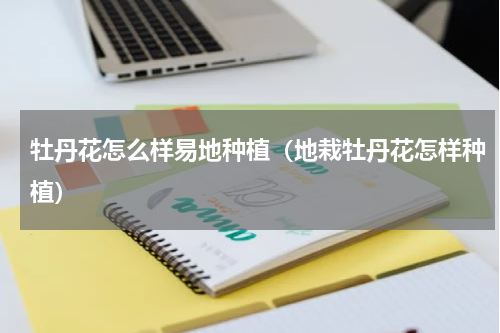 牡丹花怎么样易地种植(地栽牡丹花怎样种植)