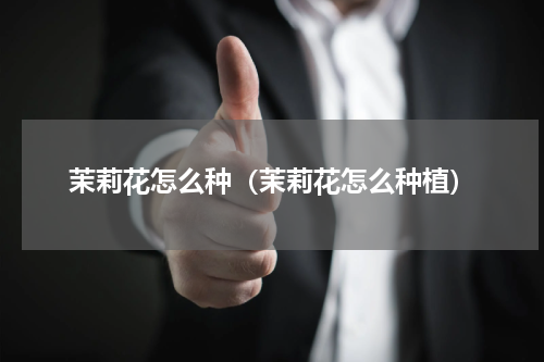 茉莉花怎么种(茉莉花怎么种植)