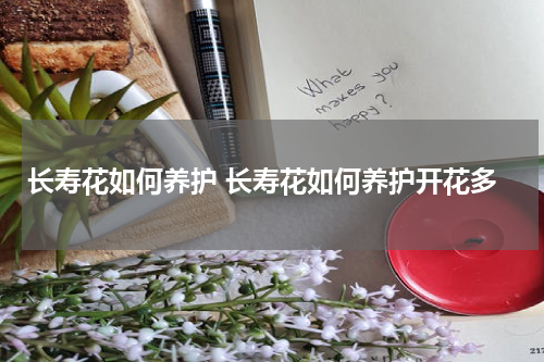 长寿花如何养护 长寿花如何养护开花多