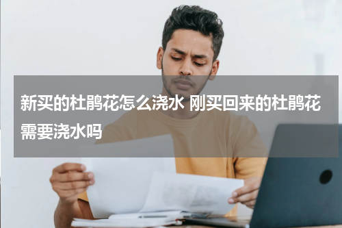 新买的杜鹃花怎么浇水 刚买回来的杜鹃花需要浇水吗