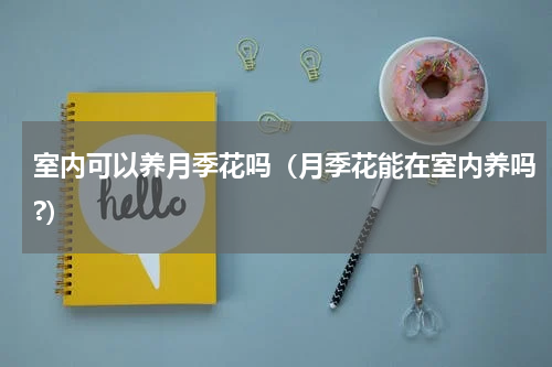 室内可以养月季花吗(月季花能在室内养吗?)
