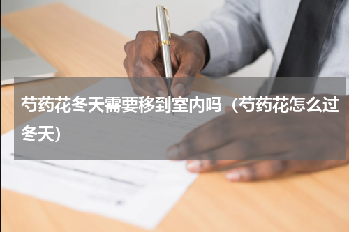 芍药花冬天需要移到室内吗（芍药花怎么过冬天）