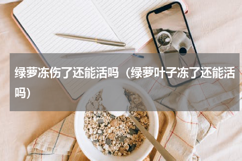绿萝冻伤了还能活吗(绿萝叶子冻了还能活吗)