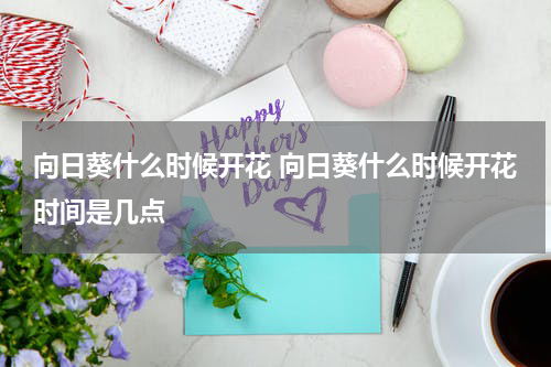 向日葵什么时候开花 向日葵什么时候开花时间是几点