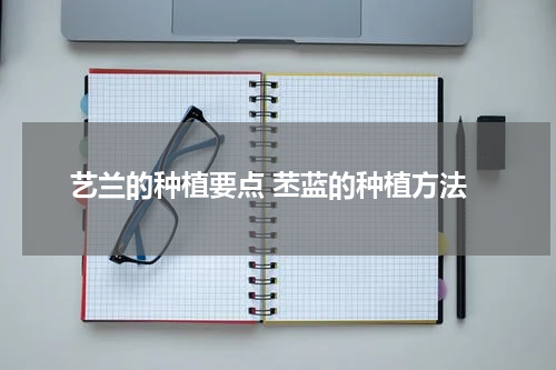 艺兰的种植要点 苤蓝的种植方法