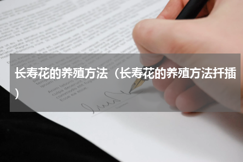 长寿花的养殖方法(长寿花的养殖方法扦插)