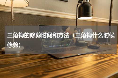 三角梅的修剪时间和方法(三角梅什么时候修剪)