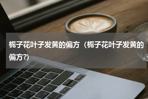 栀子花叶子发黄的偏方（栀子花叶子发黄的偏方?）