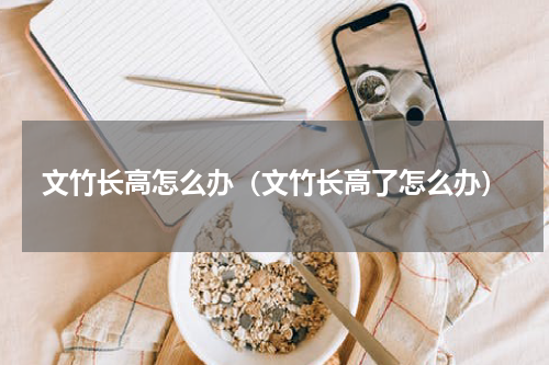 文竹长高怎么办(文竹长高了怎么办)