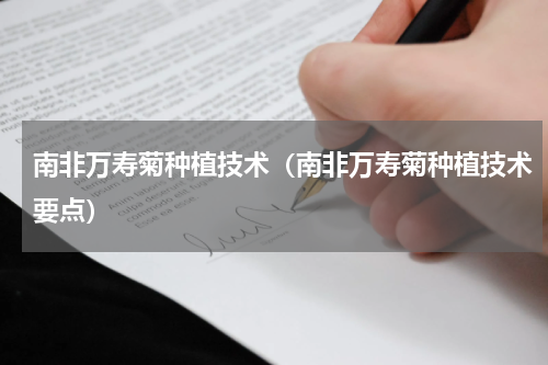 南非万寿菊种植技术（南非万寿菊种植技术要点）