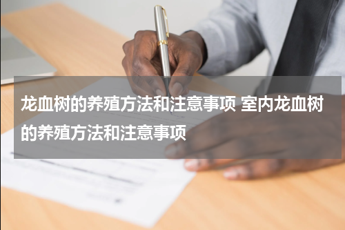 龙血树的养殖方法和注意事项 室内龙血树的养殖方法和注意事项