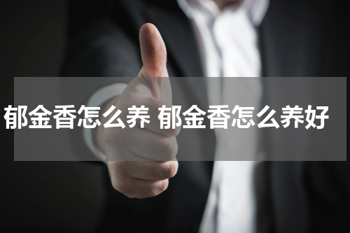 郁金香怎么养 郁金香怎么养好