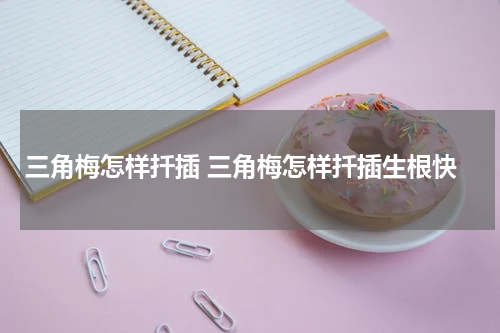 三角梅怎样扦插 三角梅怎样扦插生根快