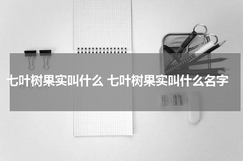 七叶树果实叫什么 七叶树果实叫什么名字