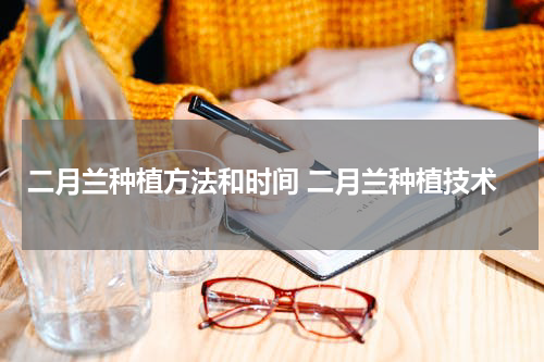 二月兰种植方法和时间 二月兰种植技术