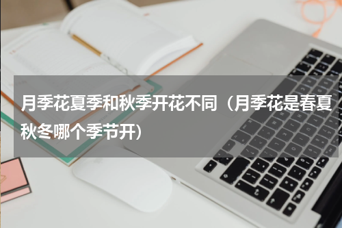 月季花夏季和秋季开花不同（月季花是春夏秋冬哪个季节开）