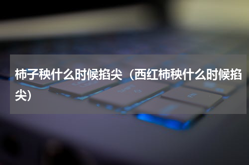 柿子秧什么时候掐尖(西红柿秧什么时候掐尖)