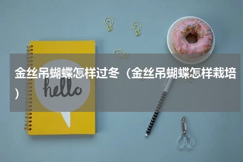 金丝吊蝴蝶怎样过冬(金丝吊蝴蝶怎样栽培)