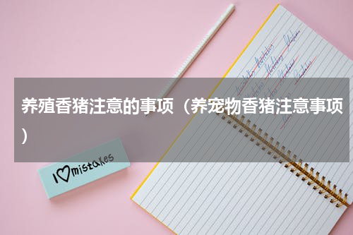 养殖香猪注意的事项(养宠物香猪注意事项)