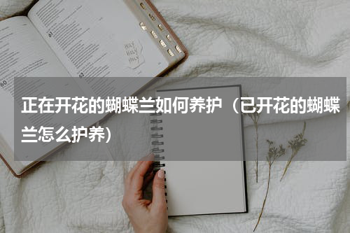 正在开花的蝴蝶兰如何养护（已开花的蝴蝶兰怎么护养）