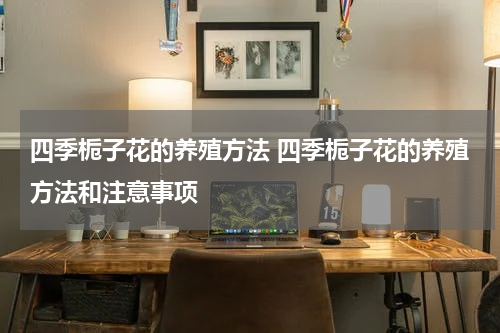 四季栀子花的养殖方法 四季栀子花的养殖方法和注意事项