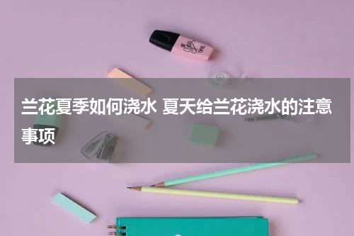 兰花夏季如何浇水 夏天给兰花浇水的注意事项