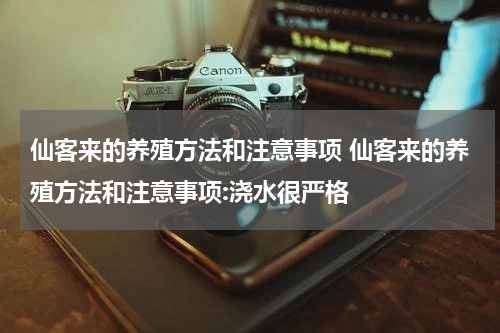 仙客来的养殖方法和注意事项 仙客来的养殖方法和注意事项:浇水很严格