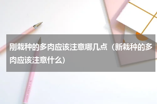 刚栽种的多肉应该注意哪几点(新栽种的多肉应该注意什么)