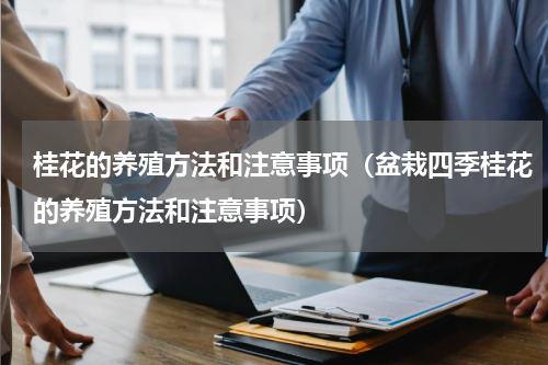 桂花的养殖方法和注意事项(盆栽四季桂花的养殖方法和注意事项)