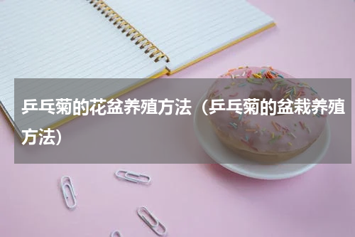 乒乓菊的花盆养殖方法（乒乓菊的盆栽养殖方法）