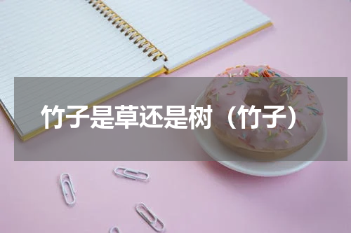 竹子是草还是树(竹子)