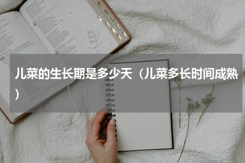 儿菜的生长期是多少天(儿菜多长时间成熟)