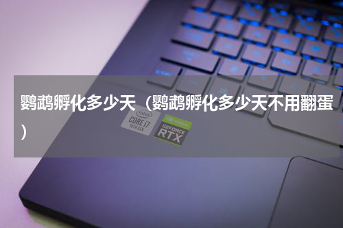 鹦鹉孵化多少天(鹦鹉孵化多少天不用翻蛋)