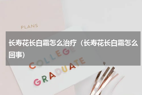 长寿花长白霜怎么治疗(长寿花长白霜怎么回事)