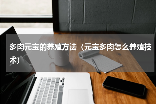 多肉元宝的养殖方法(元宝多肉怎么养殖技术)