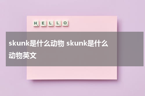 skunk是什么动物 skunk是什么动物英文