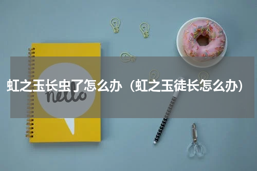 虹之玉长虫了怎么办(虹之玉徒长怎么办)