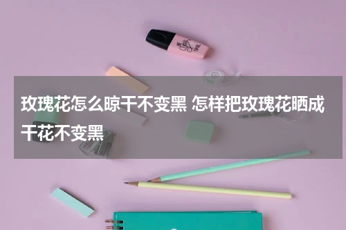 玫瑰花怎么晾干不变黑 怎样把玫瑰花晒成干花不变黑