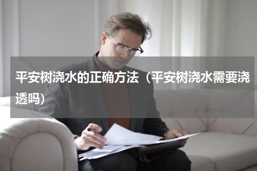 平安树浇水的正确方法(平安树浇水需要浇透吗)