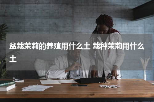 盆栽茉莉的养殖用什么土 栽种茉莉用什么土