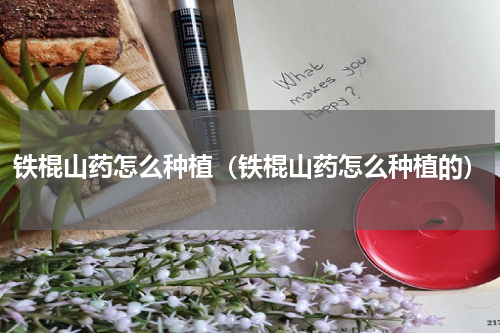 铁棍山药怎么种植(铁棍山药怎么种植的)