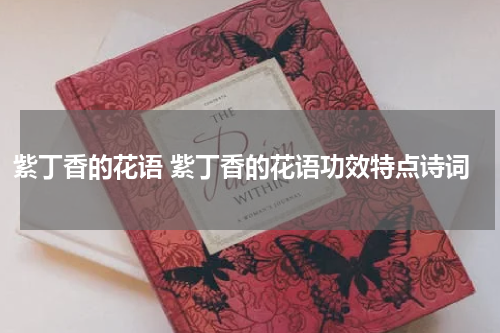 紫丁香的花语 紫丁香的花语功效特点诗词