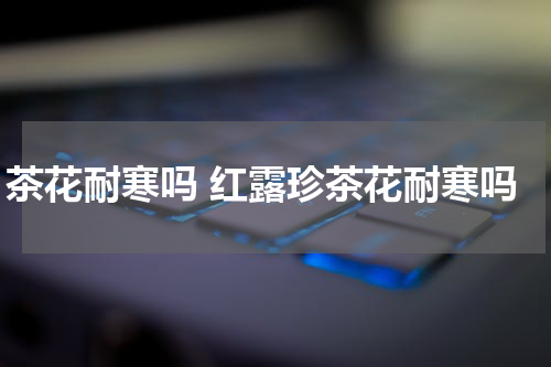 茶花耐寒吗 红露珍茶花耐寒吗