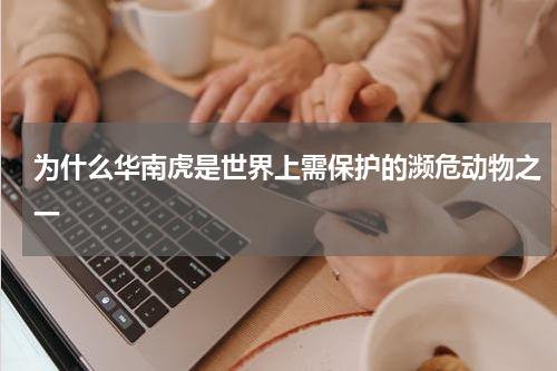 为什么华南虎是世界上需保护的濒危动物之一