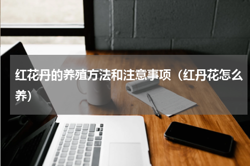 红花丹的养殖方法和注意事项(红丹花怎么养)